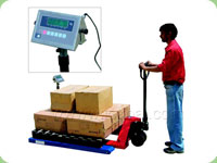 Pallet Weighing Scale